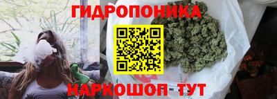 стафф Анжеро-Судженск